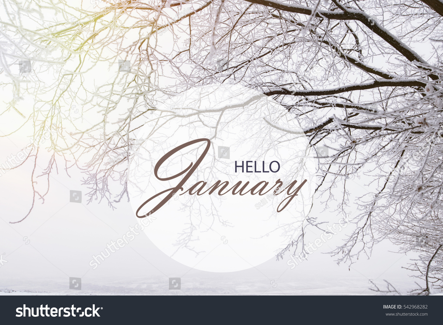 Looks - January Hello wallpaper pictures video Looks - January Hello wallpaper pictures video