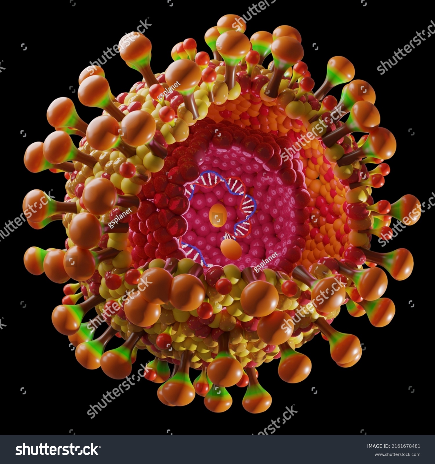 Hepatitis B Virus 3d Render Stock Illustration 2161678481 | Shutterstock