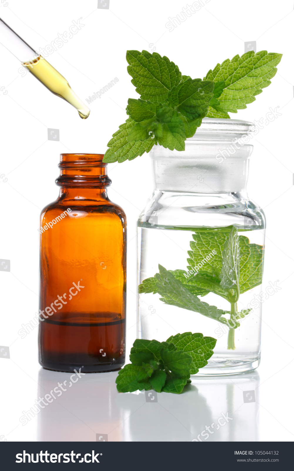 Herbal Medicine Dropper Bottle With Mint Leaves Stock Photo 105044132 ...