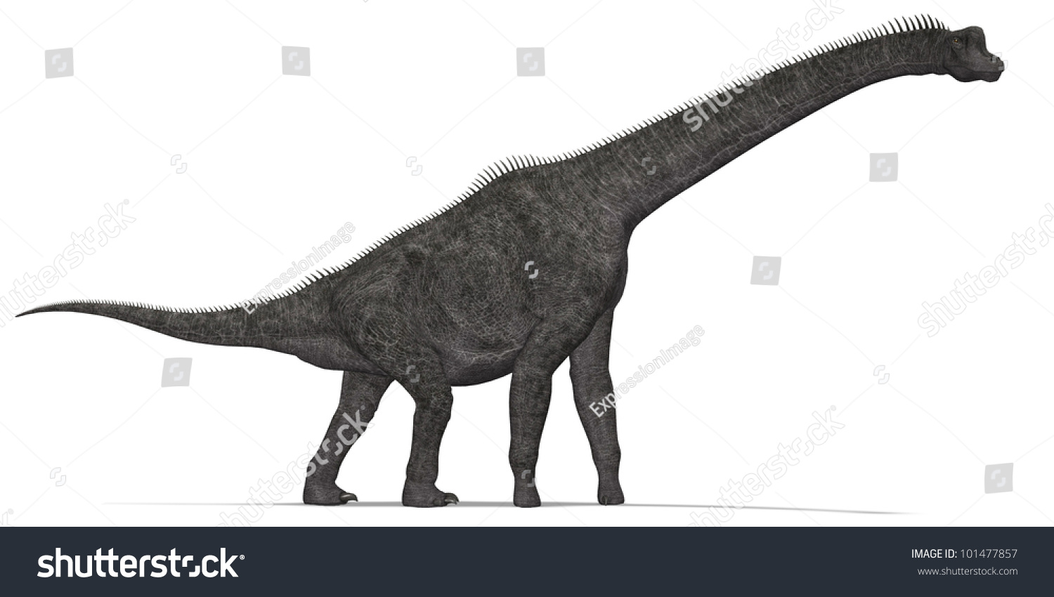 dinosaur with the really long neck