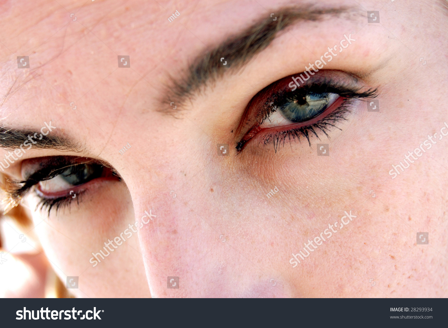 Heres Shot Teenage Girl Posing Camera Stock Photo 28293934 | Shutterstock