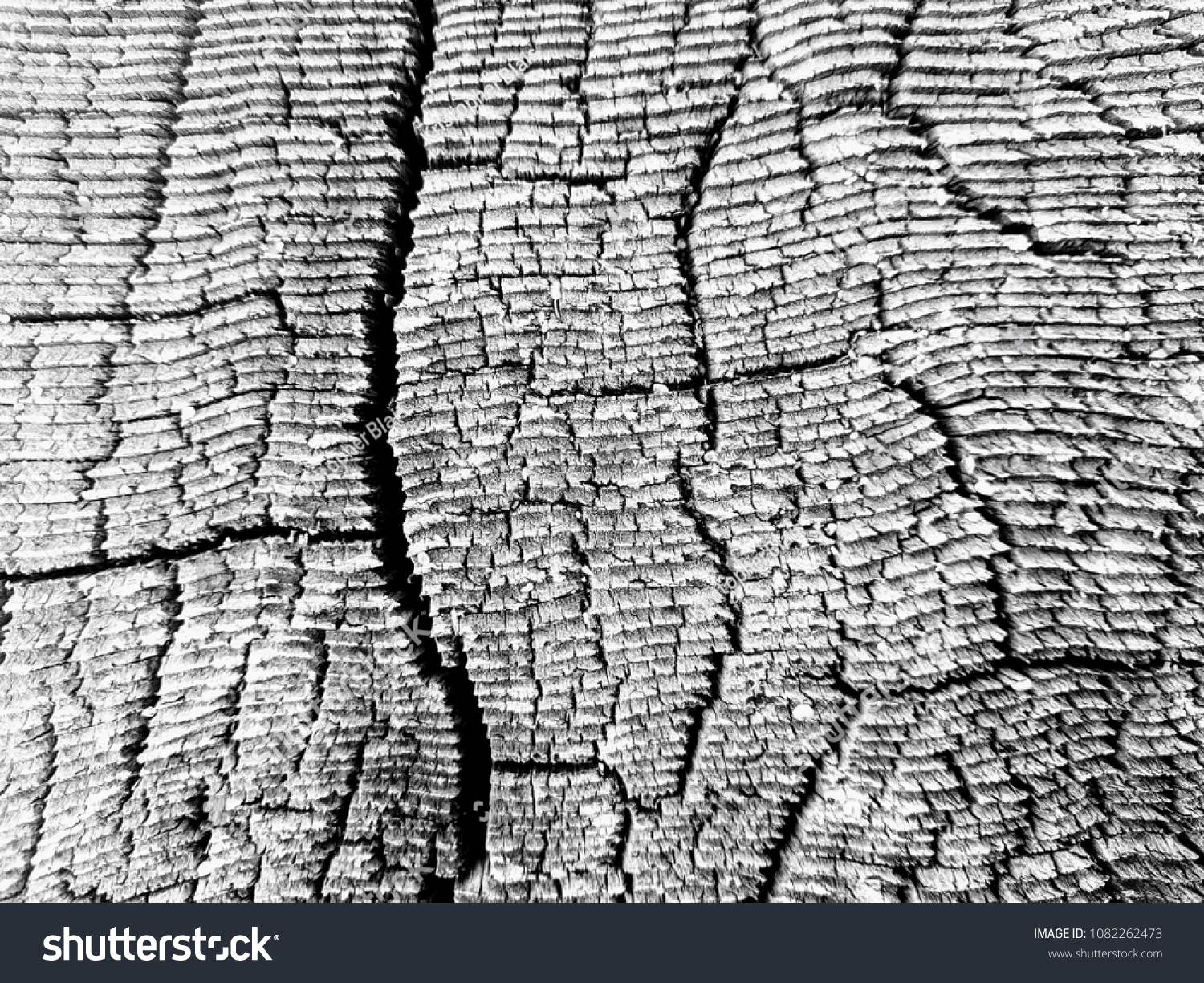 High Contrast Saw Cut Wood Grain Stock Photo 1082262473 | Shutterstock