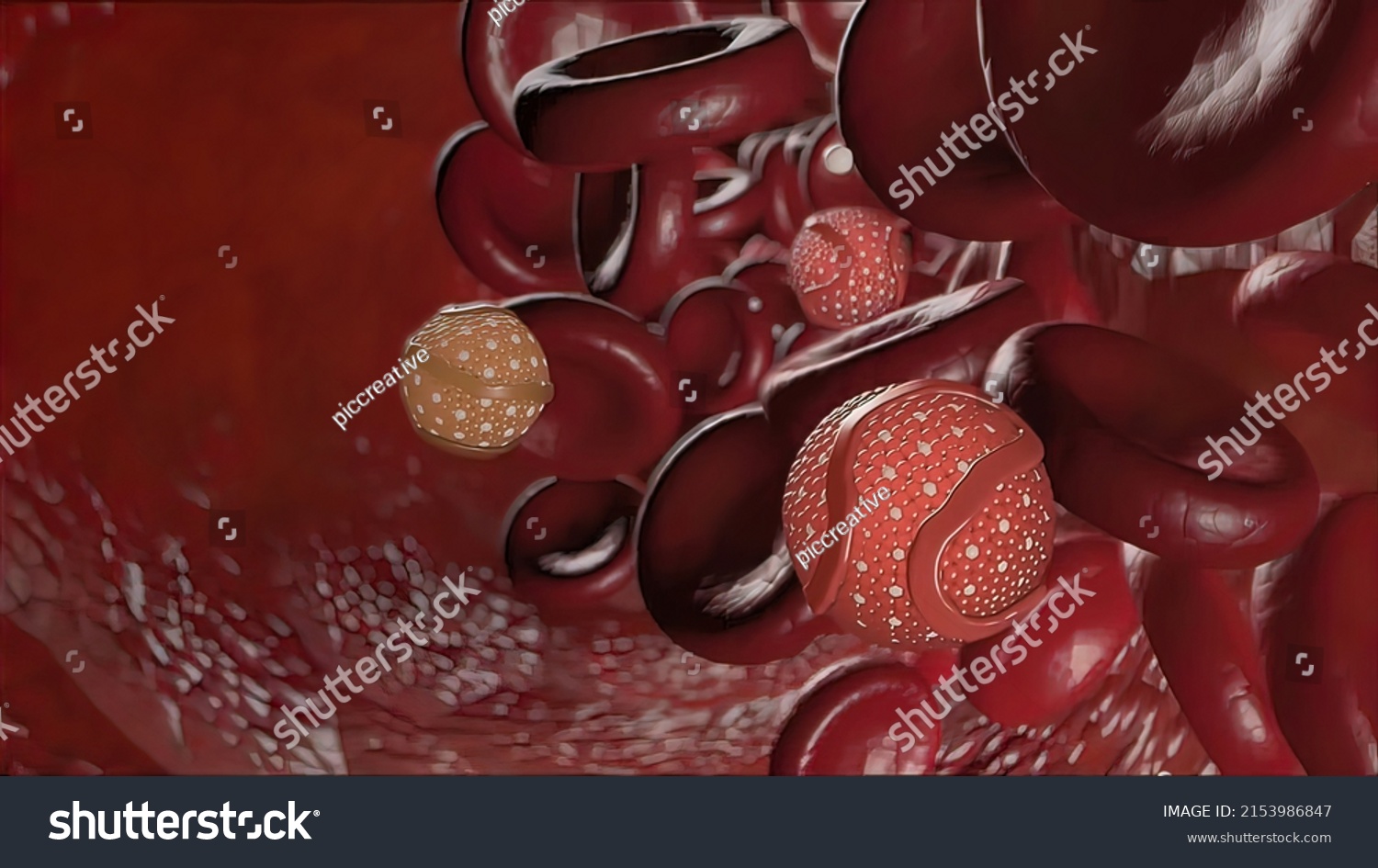 High density lipoprotein Images, Stock Photos & Vectors | Shutterstock