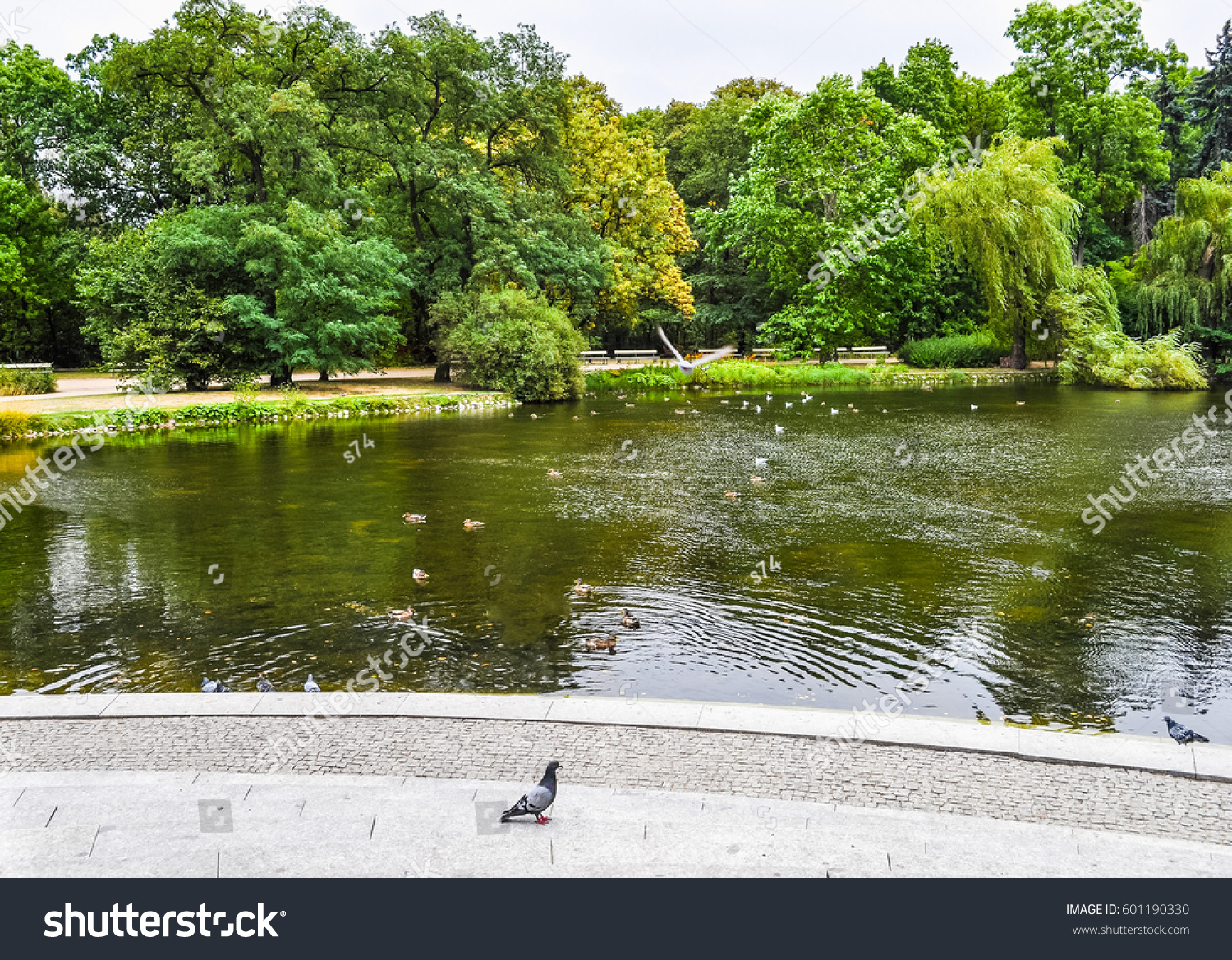 High Dynamic Range Hdr Ogrod Botaniczny Stock Photo Edit Now