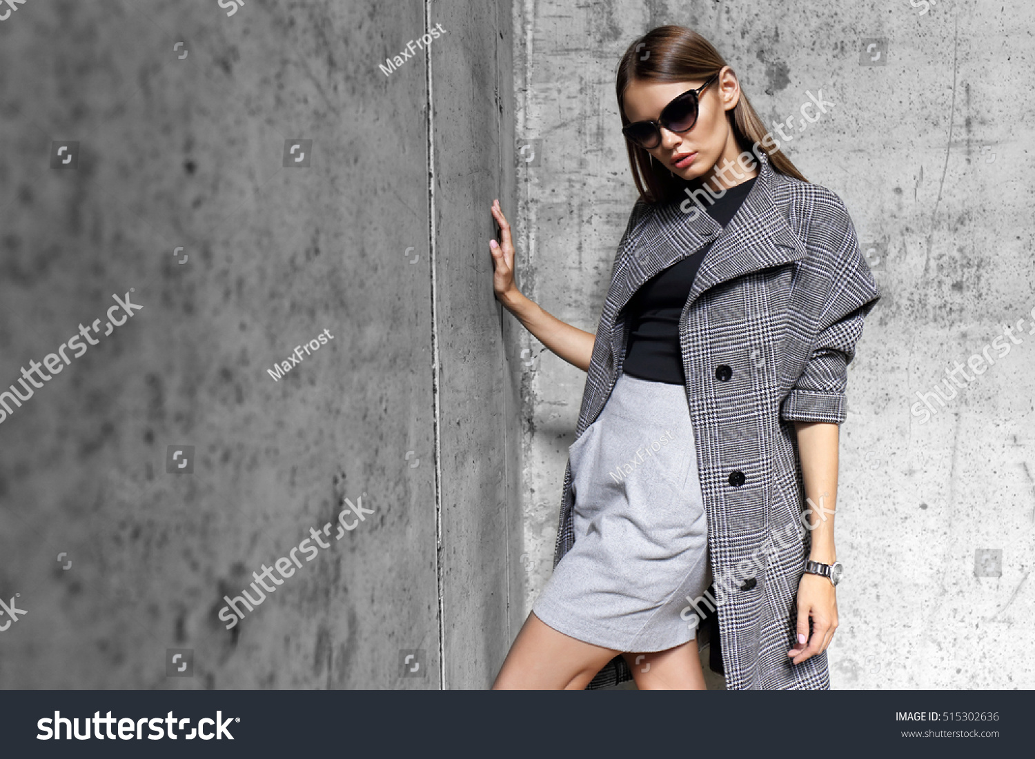 High Fashion Portrait Of Young Elegant Woman Outdoor. Grey Ã?Â Oat, Cat ...