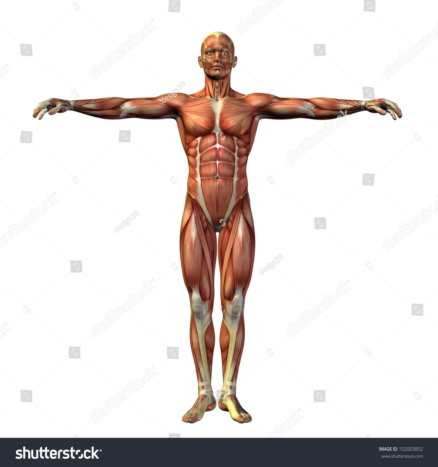 high resolution concept conceptual human man stock illustration