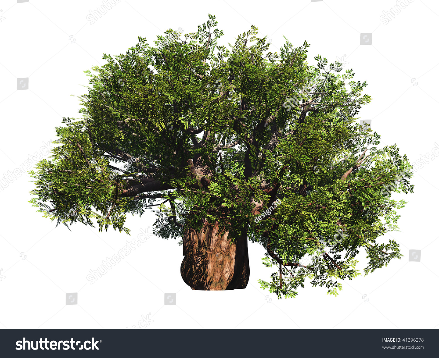 High Resolution Green Old Baobab Tree Stock Illustration 41396278   Stock Photo High Resolution Green Old Baobab Tree Isolated On White In Summer 41396278 