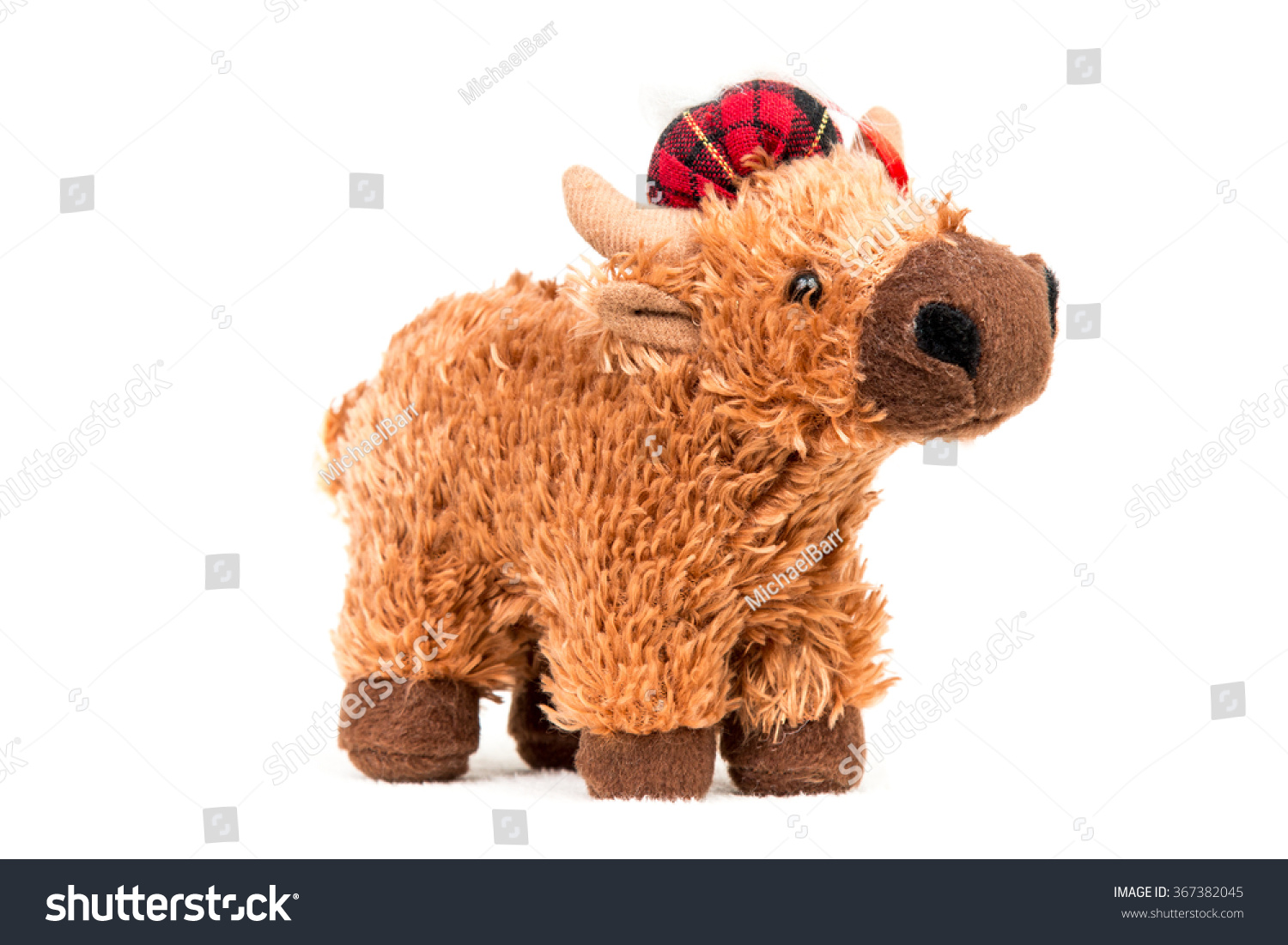 highland cattle teddy