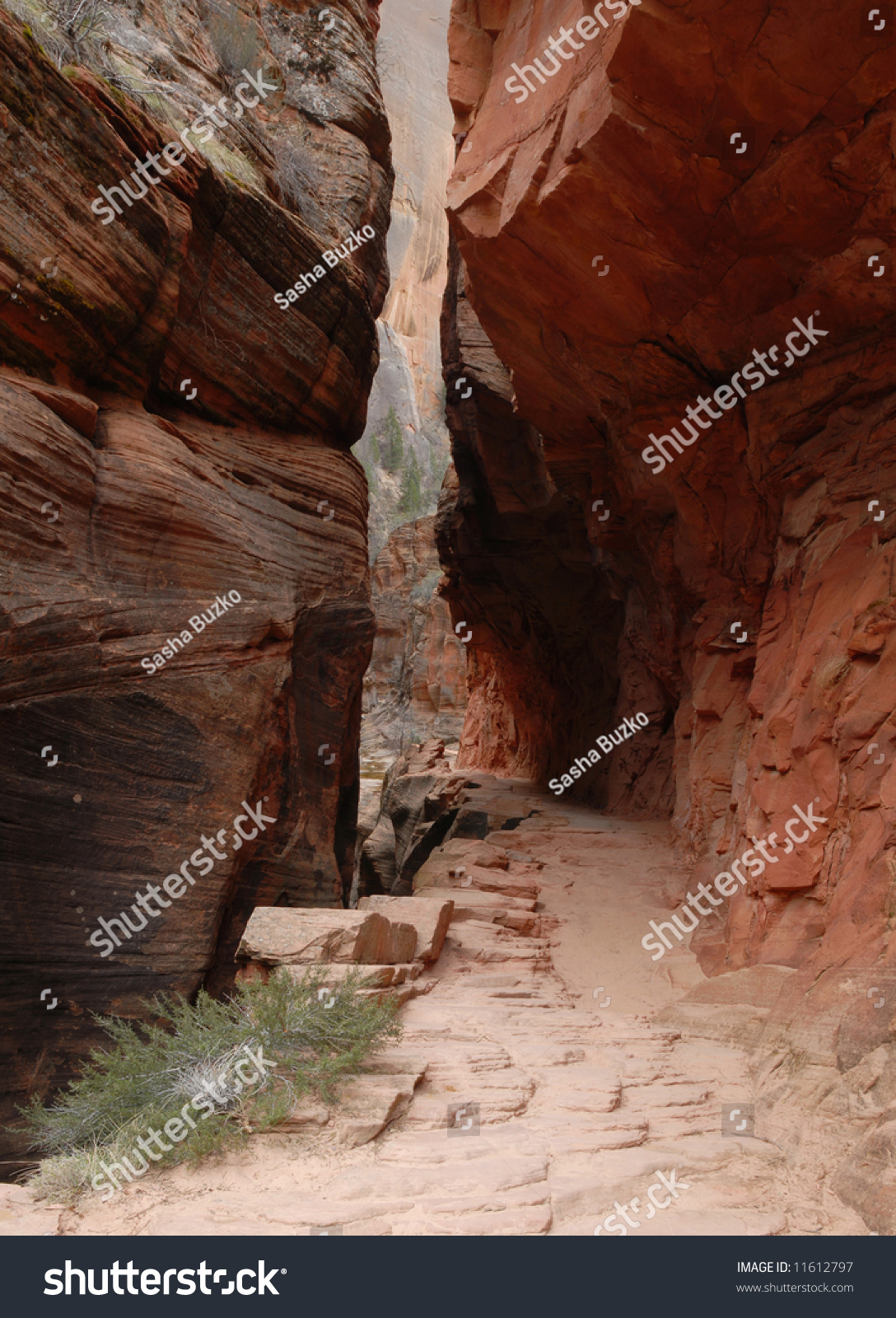 Are there slot canyons in zion national park drive time