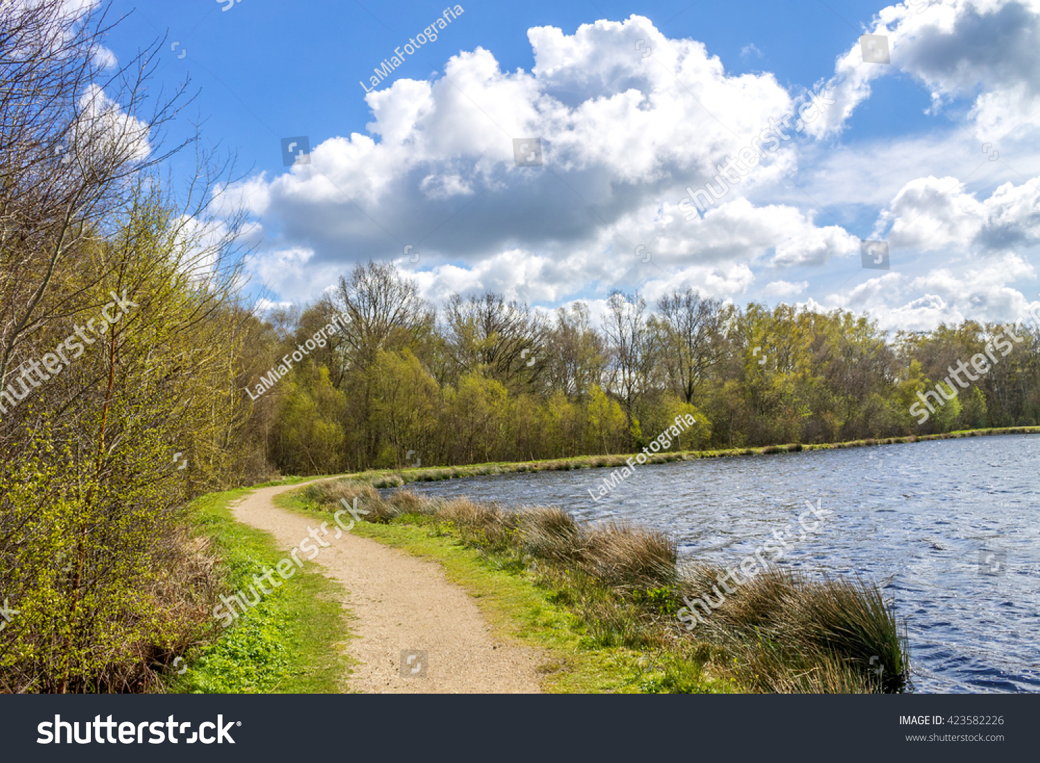Himmelmoor Moor Quickborn Stock Photo Edit Now