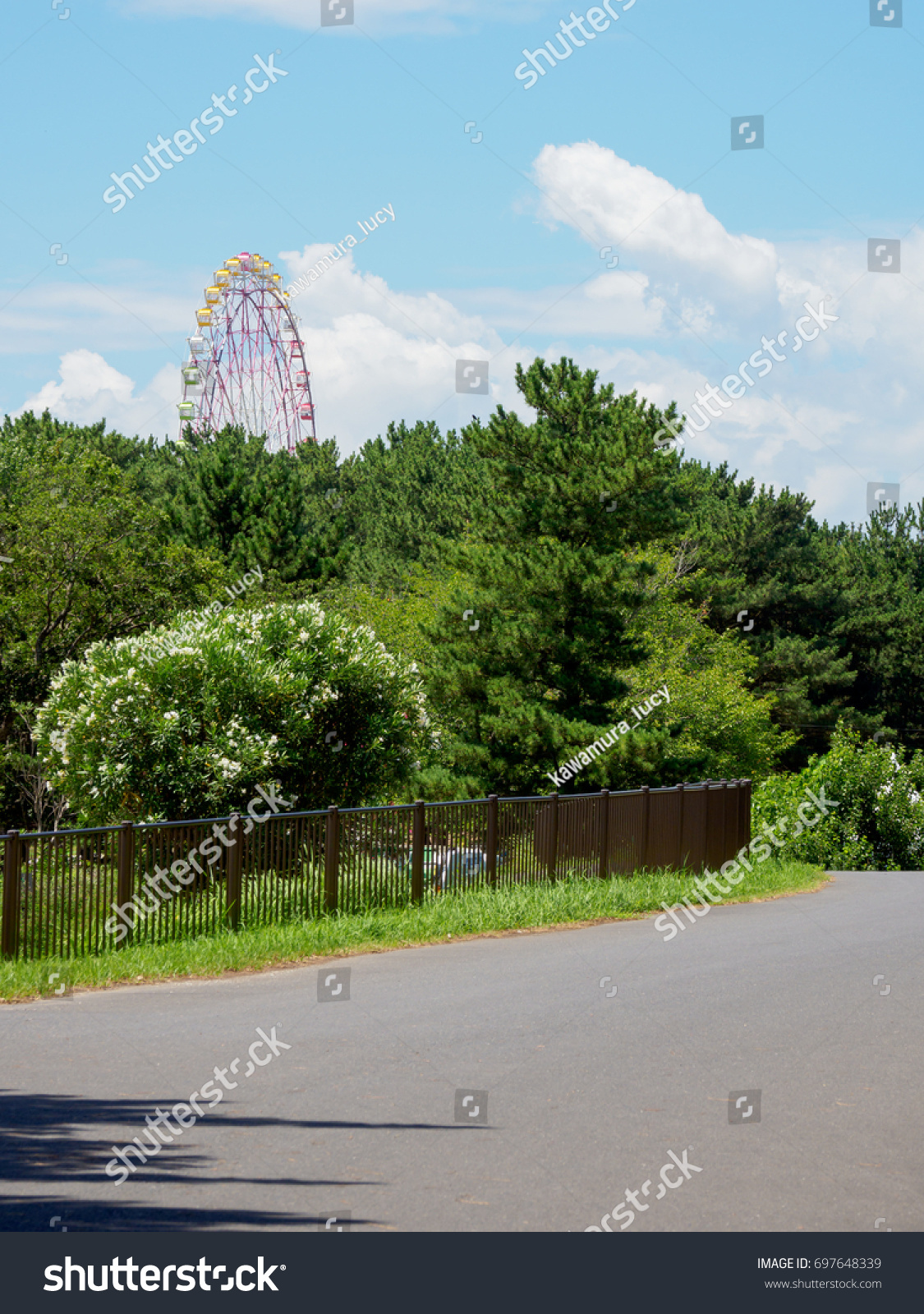 Hitachi Seaside Park Japan Stock Photo 697648339 | Shutterstock