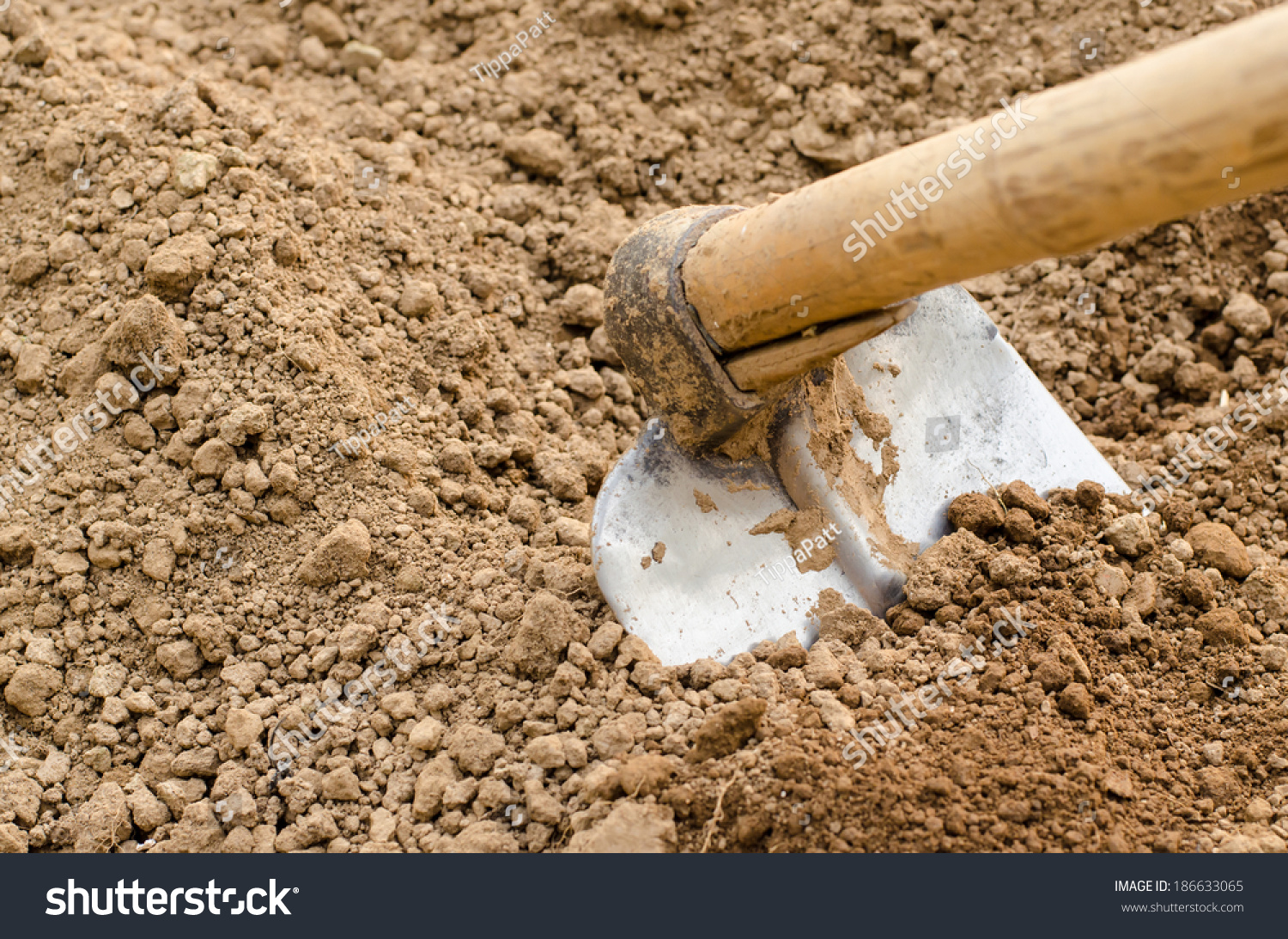 Hoe Or Digging Tool, Soil Prepared Vegetable Bed For Sowing. Stock ...