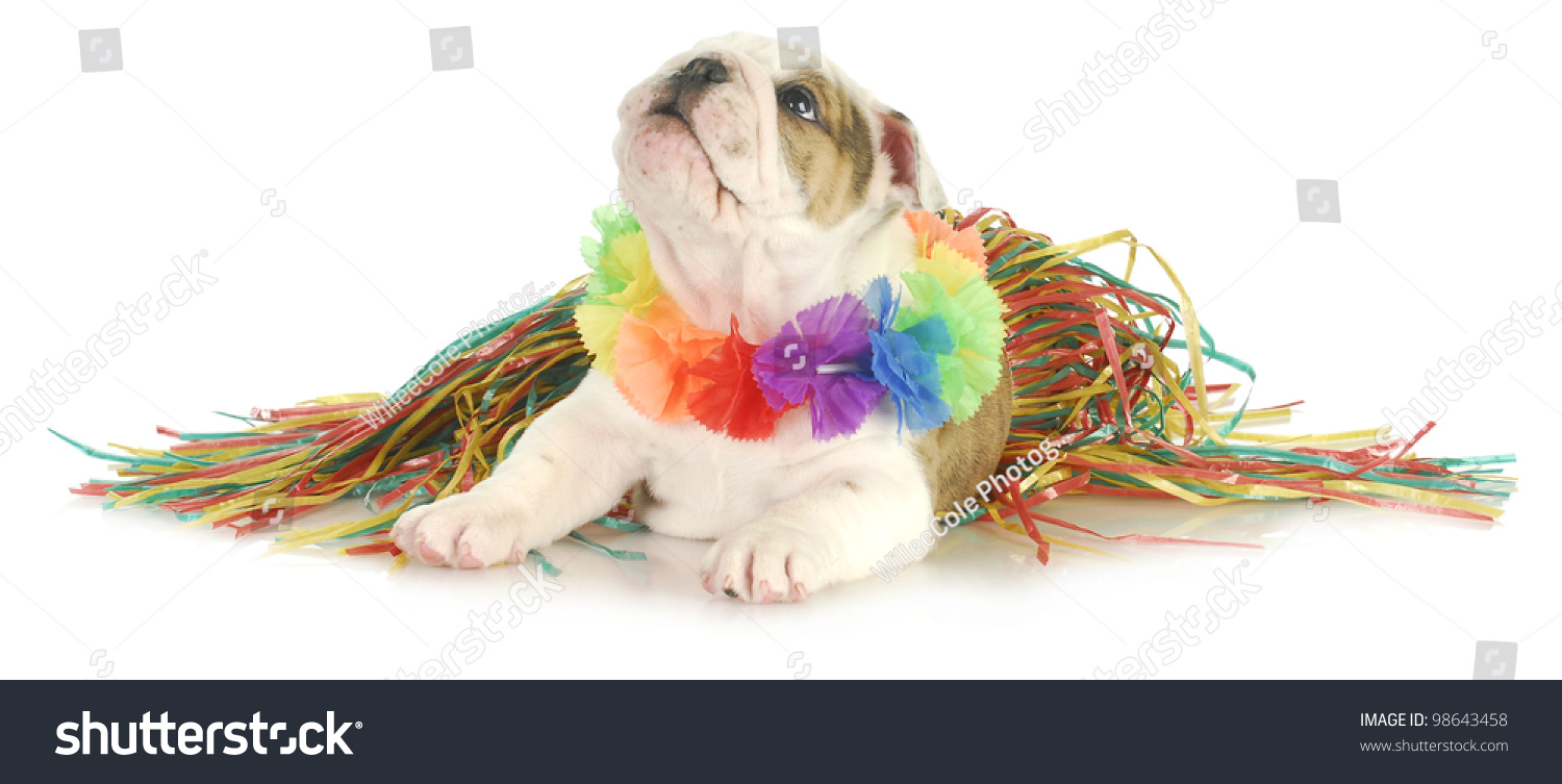  Lemonade Classic  Template Design Featuring Holiday Dog English