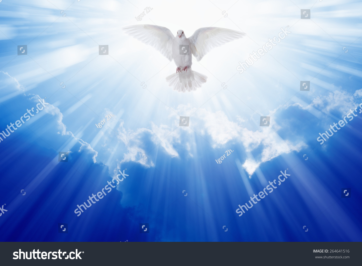 Holy Spirit Dove Flies Blue Sky Stock Photo 264641516 - Shutterstock