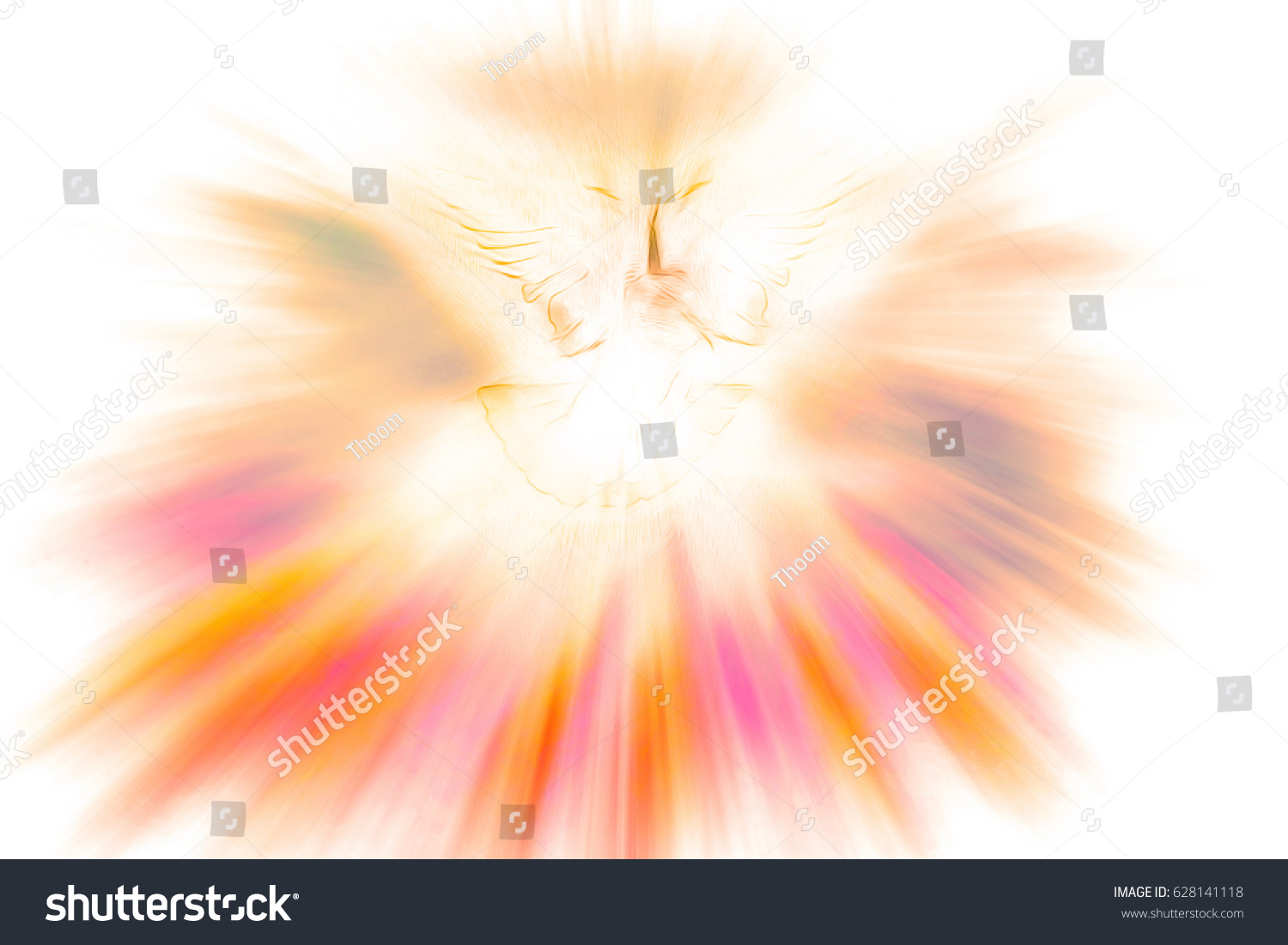 Holy Spirit Pentecost Confirmation Symbol Dove Stock Illustration 628141118 Shutterstock 1153