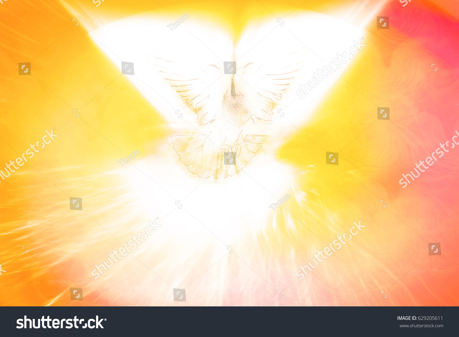 Holy Spirit Pentecost Confirmation Symbol Dove 스톡 일러스트 629205611 Shutterstock 2686