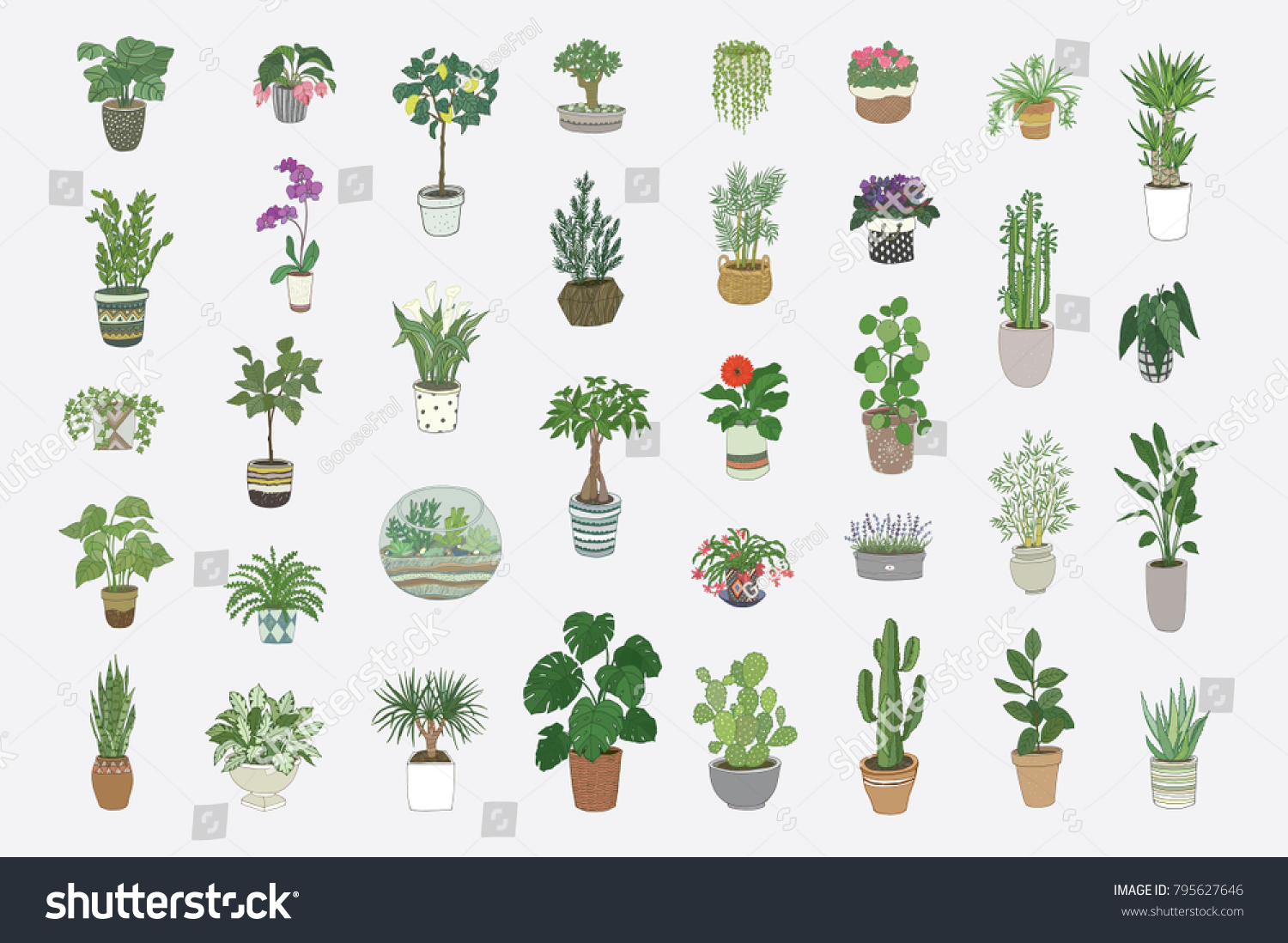 Home Indoor Plants Hand Drawn Illustrations Stock Illustration ...