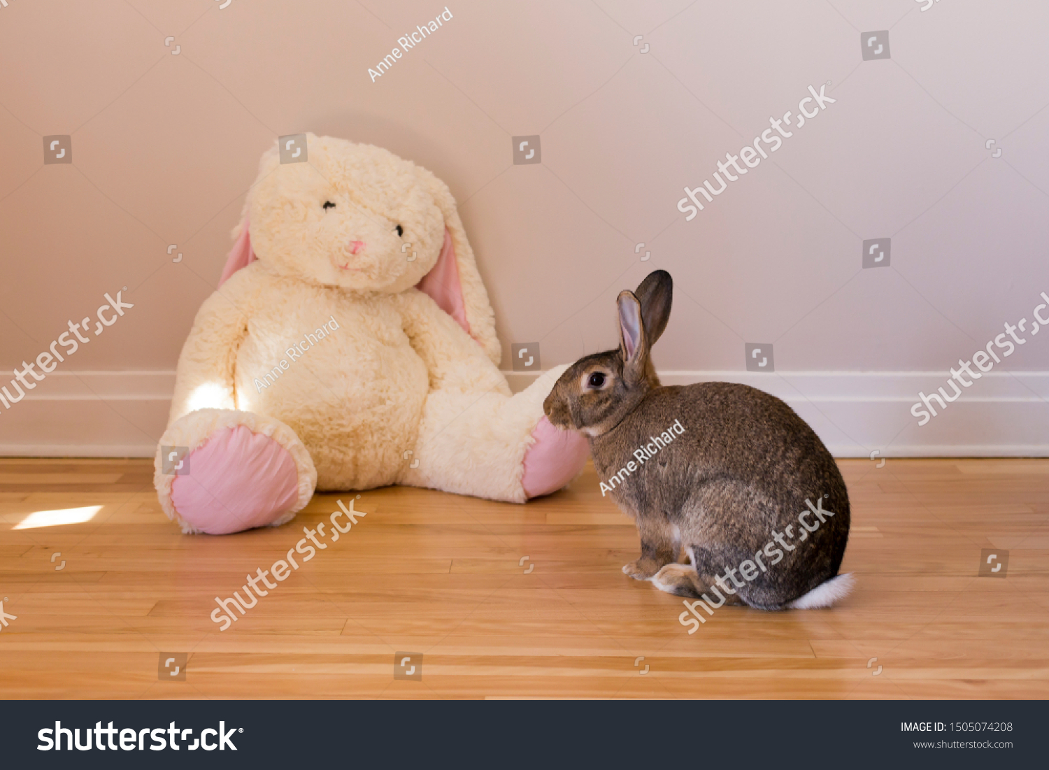 giant rabbit toy