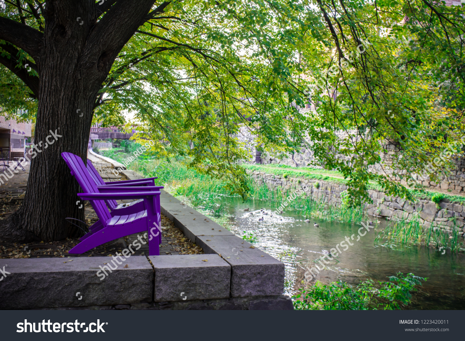 Horizontal View Violet Benches Near Creek Stock Photo Edit Now