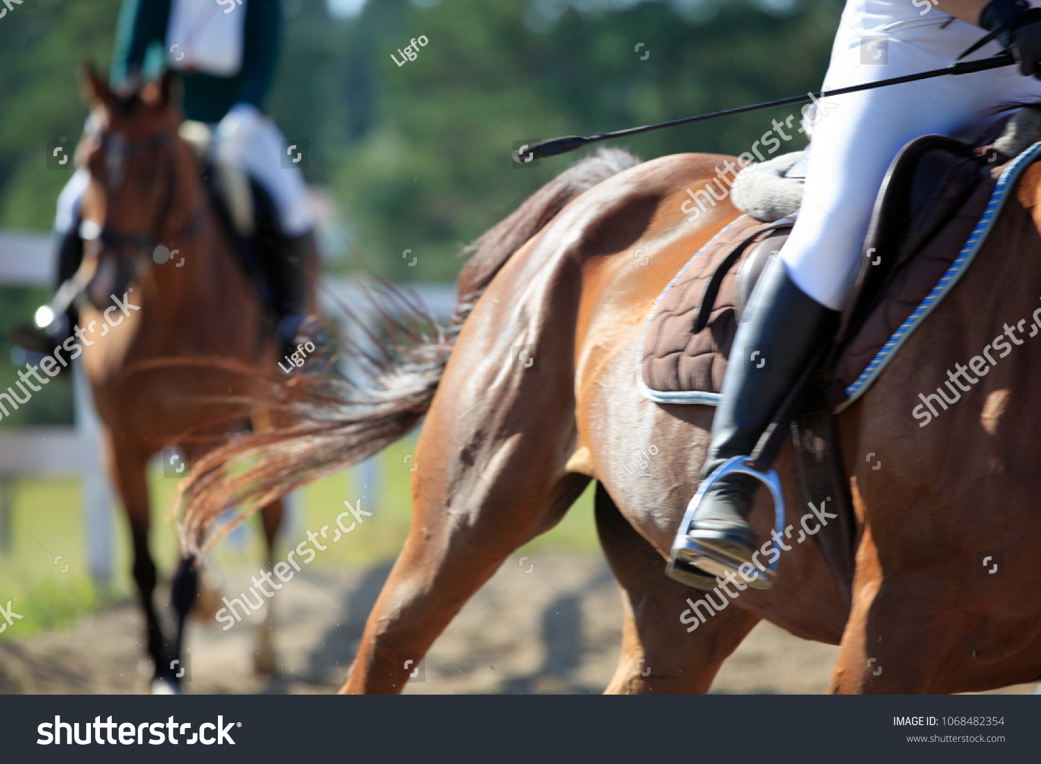 Horse Motion Jockey On Horseback Details Sports Recreation Stock Image 1068482354 - whip whip like a racehorse song roblox id
