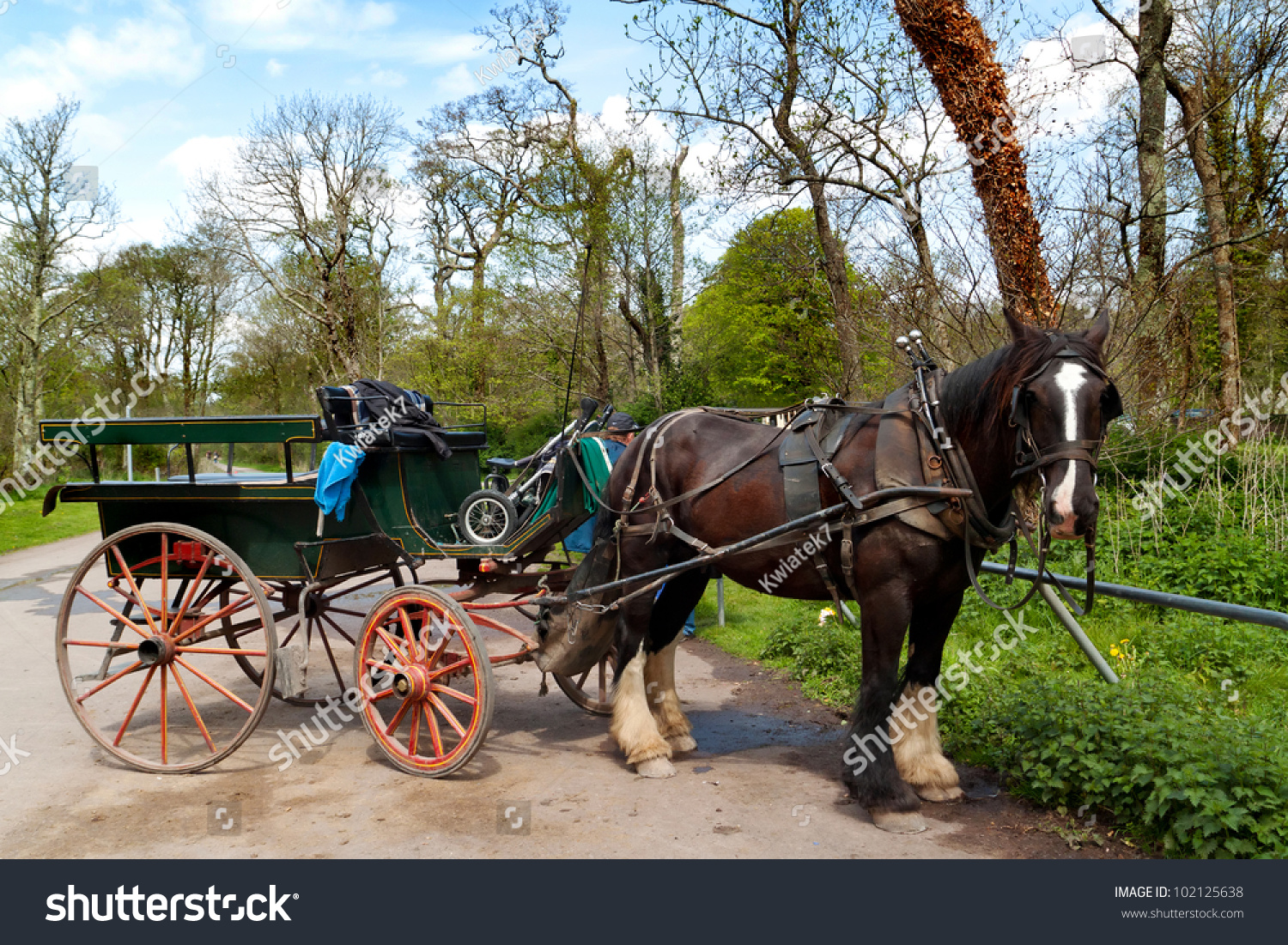 Horse Ride Killarney National Park Stock Photo Edit Now 102125638