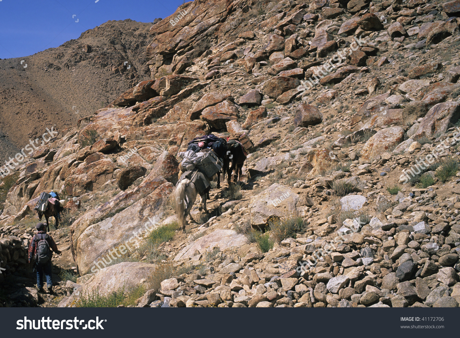 Horseman Murobok La Ladakh Indien Stock Photo Edit Now