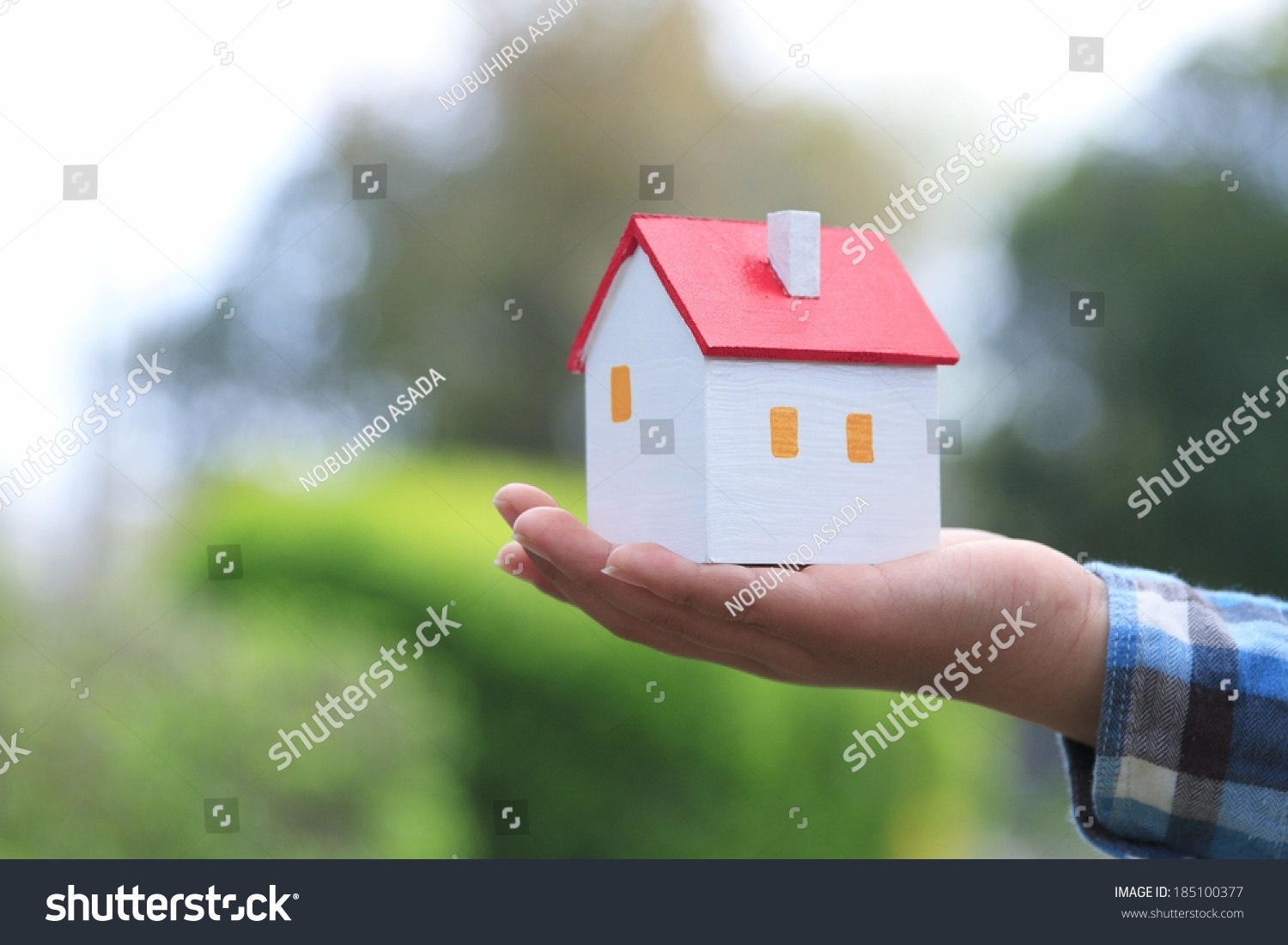 House Image Stock Photo 185100377 Shutterstock