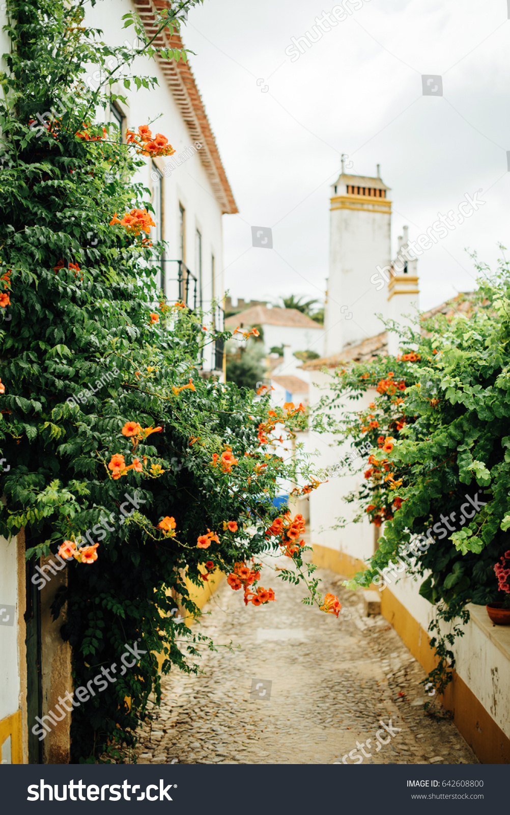 House Medieval Town Obidos Portugal Stock Photo Edit Now