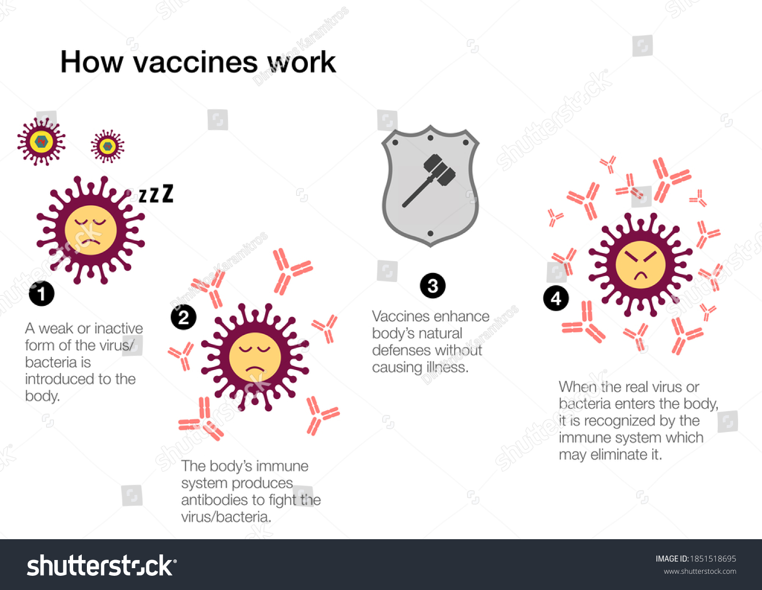 How Vaccines Work Produce Antibodies Stimulate Stock Illustration ...