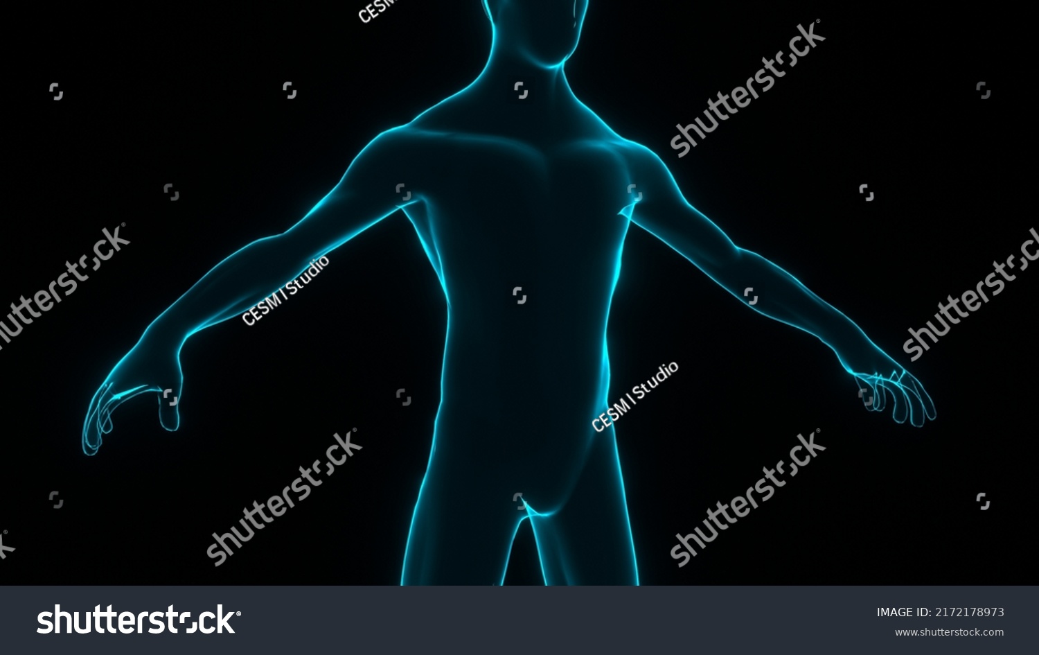 Human Body Human Model Illustration Bioengineering Stock Illustration ...