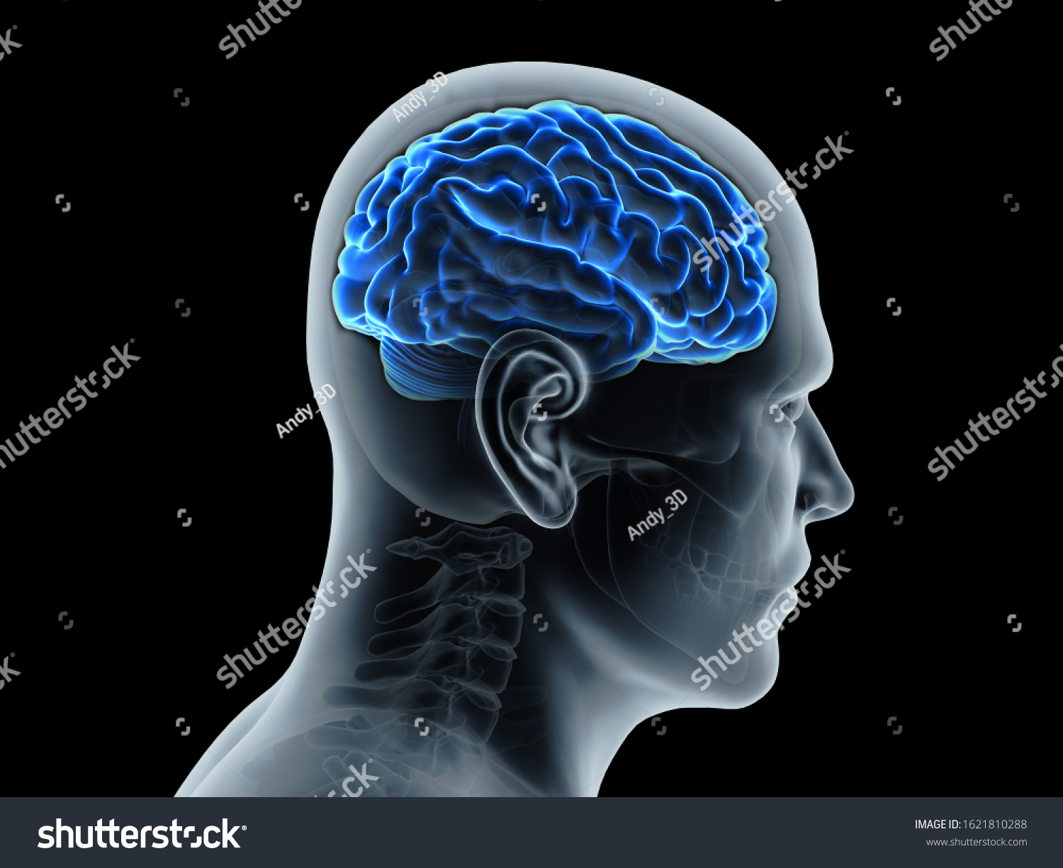 Human Brain Concept Blue Glowing Xray Stock Illustration 1621810288 