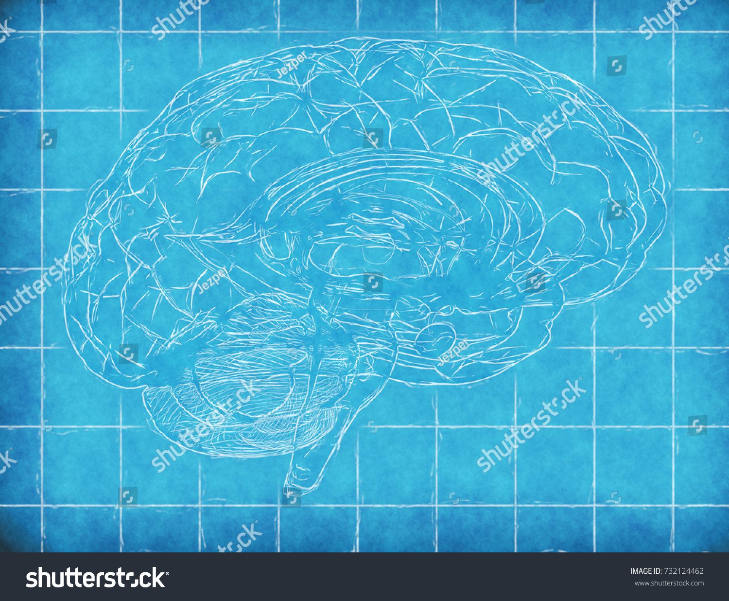 Human Brain Side View Blueprint 3d Stock Illustration 732124462 1111