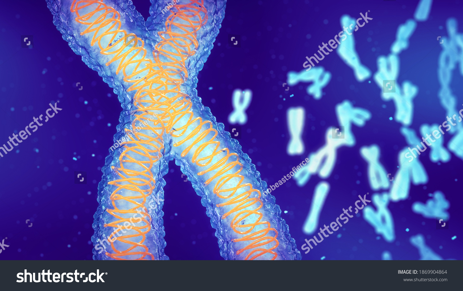 Human Chromosomes 3d Illustration Genome Mapping Stock Illustration ...