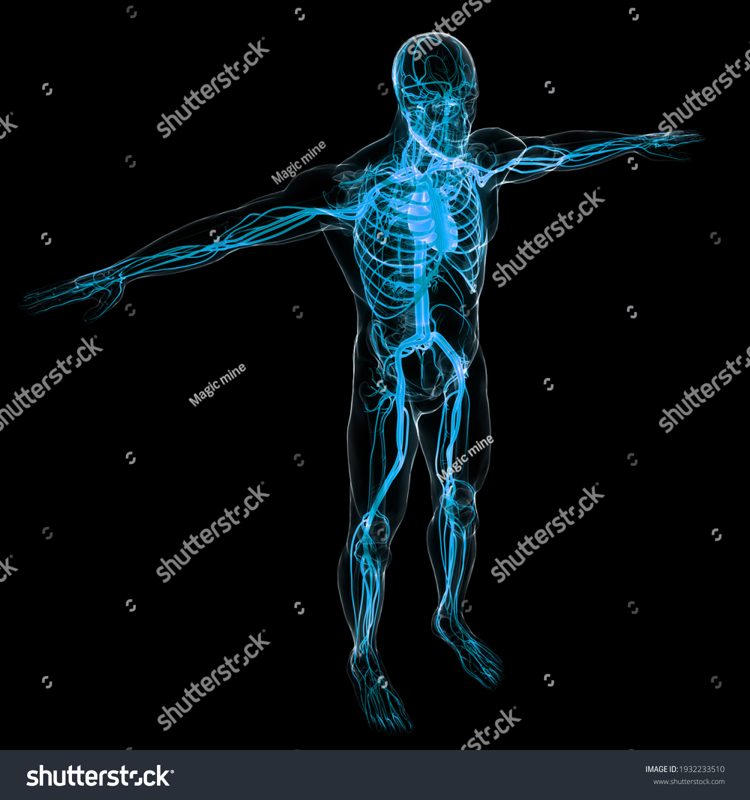 40 698 3d Anatomy And Physiology Images Stock Photos Vectors 40 698 3d Anatomy And Physiology Images Stock Photos Vectors