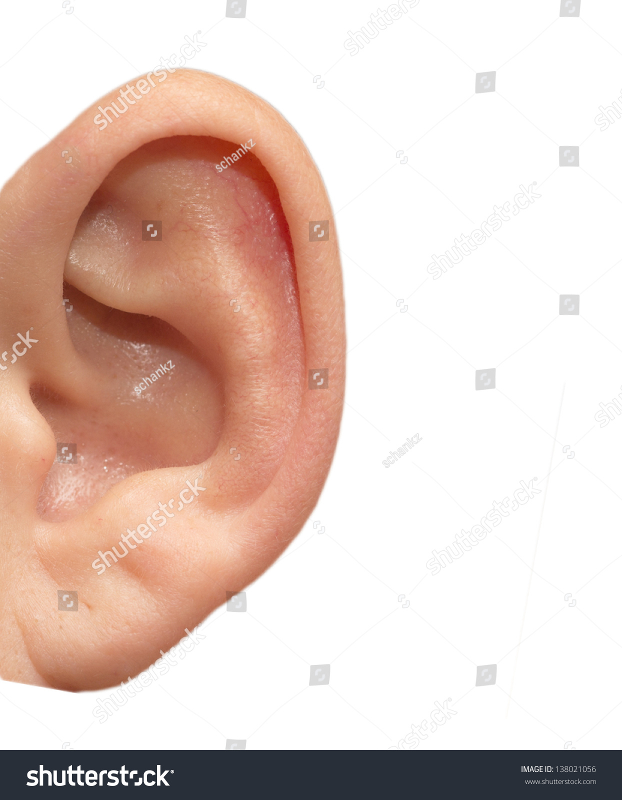 Human Ear On White Background Stock Photo 138021056 : Shutterstock