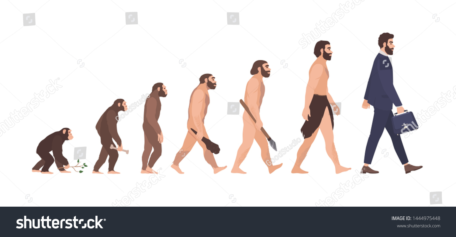 Human Evolution Stages Evolutionary Process Gradual Stock Illustration ...