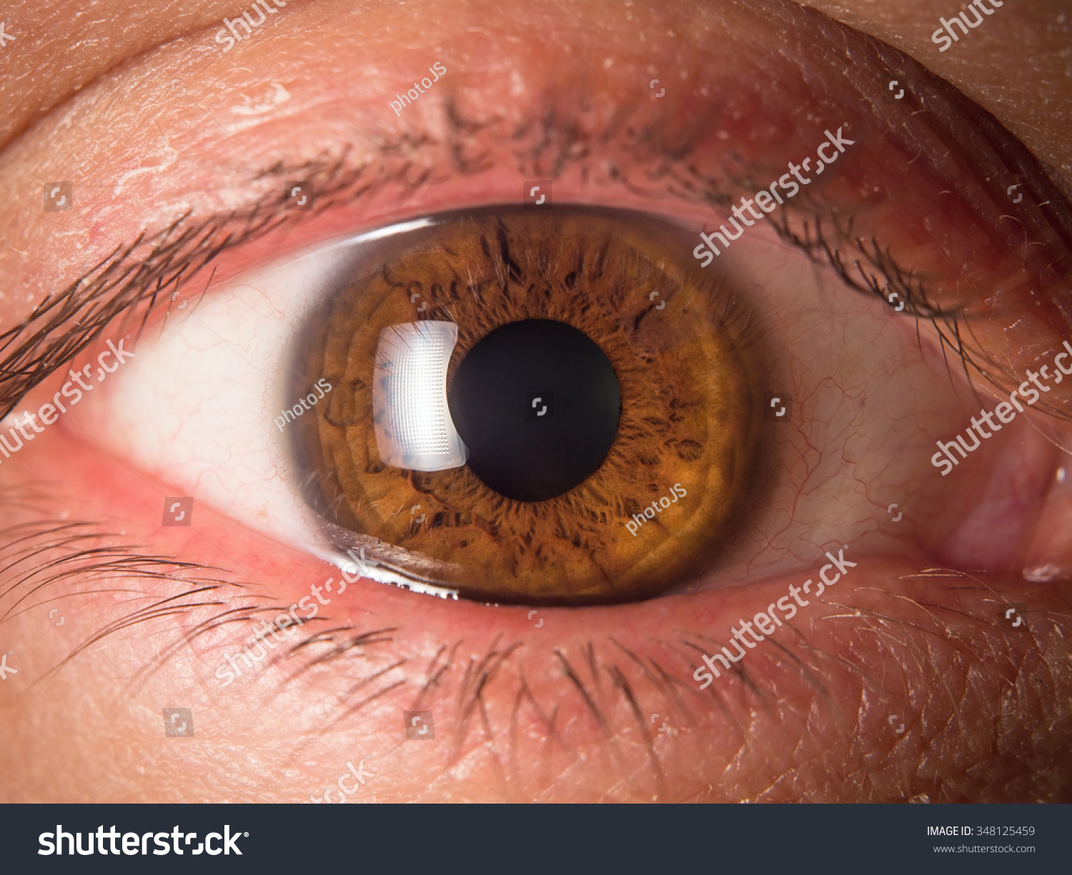 Human Eye Detail Stock Photo 348125459 : Shutterstock