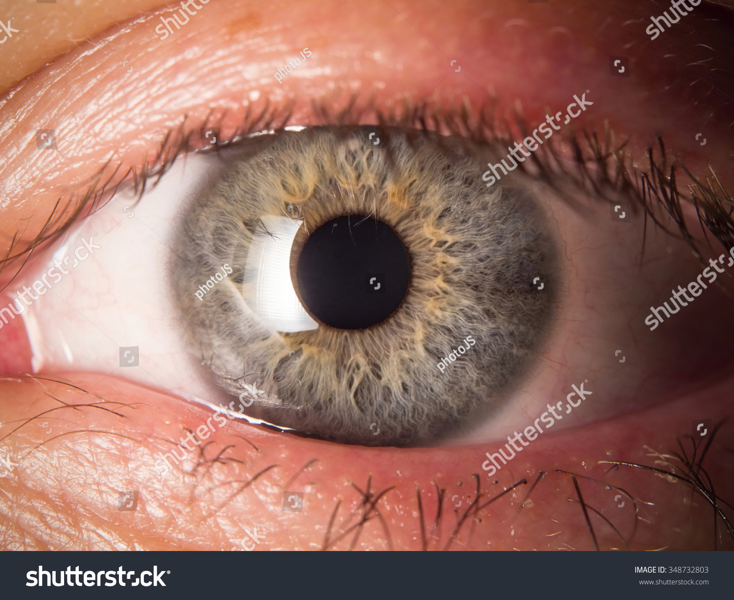 Human Eye Detail Stock Photo 348732803 : Shutterstock