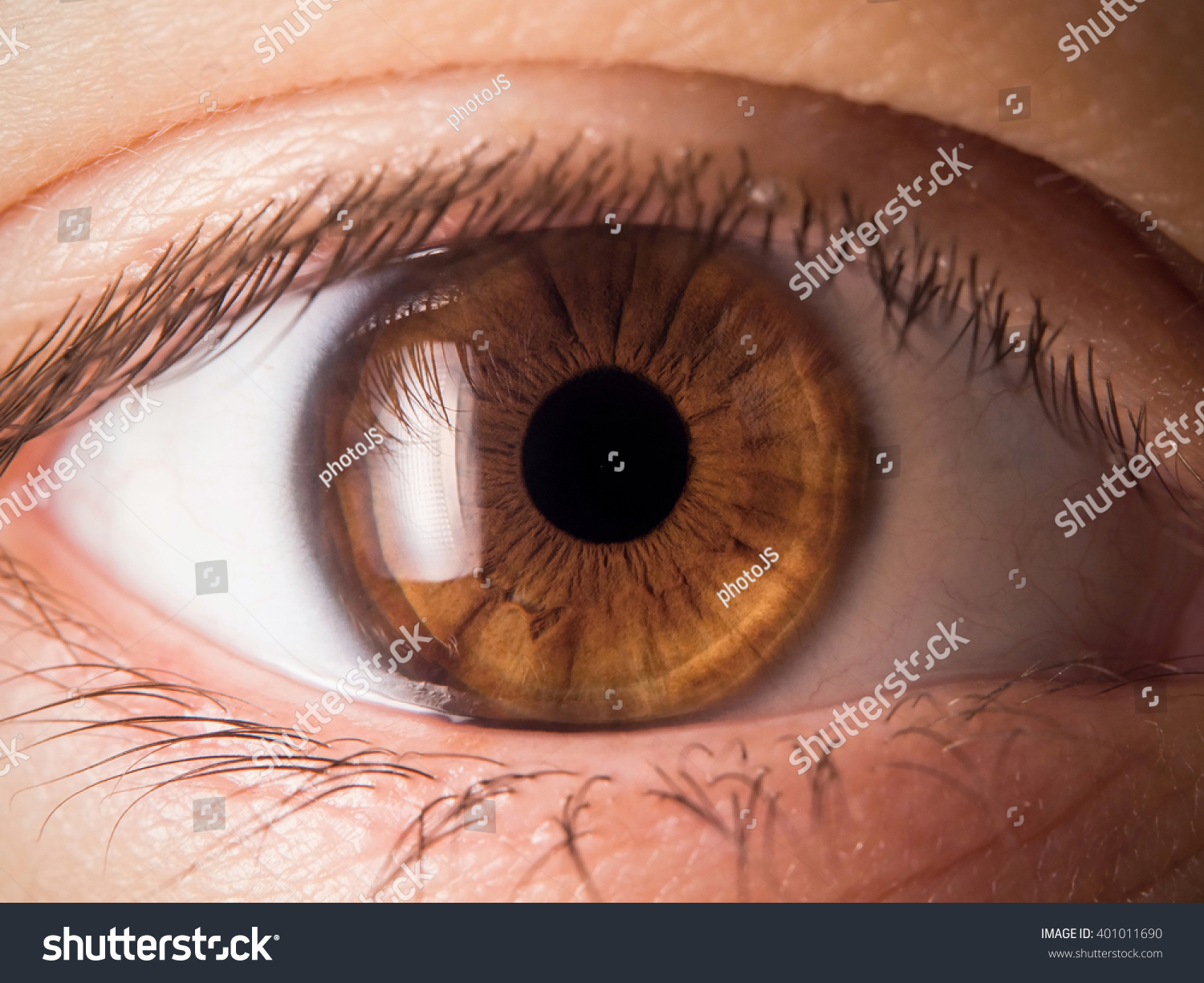 Human Eye Detail Stock Photo 401011690 : Shutterstock