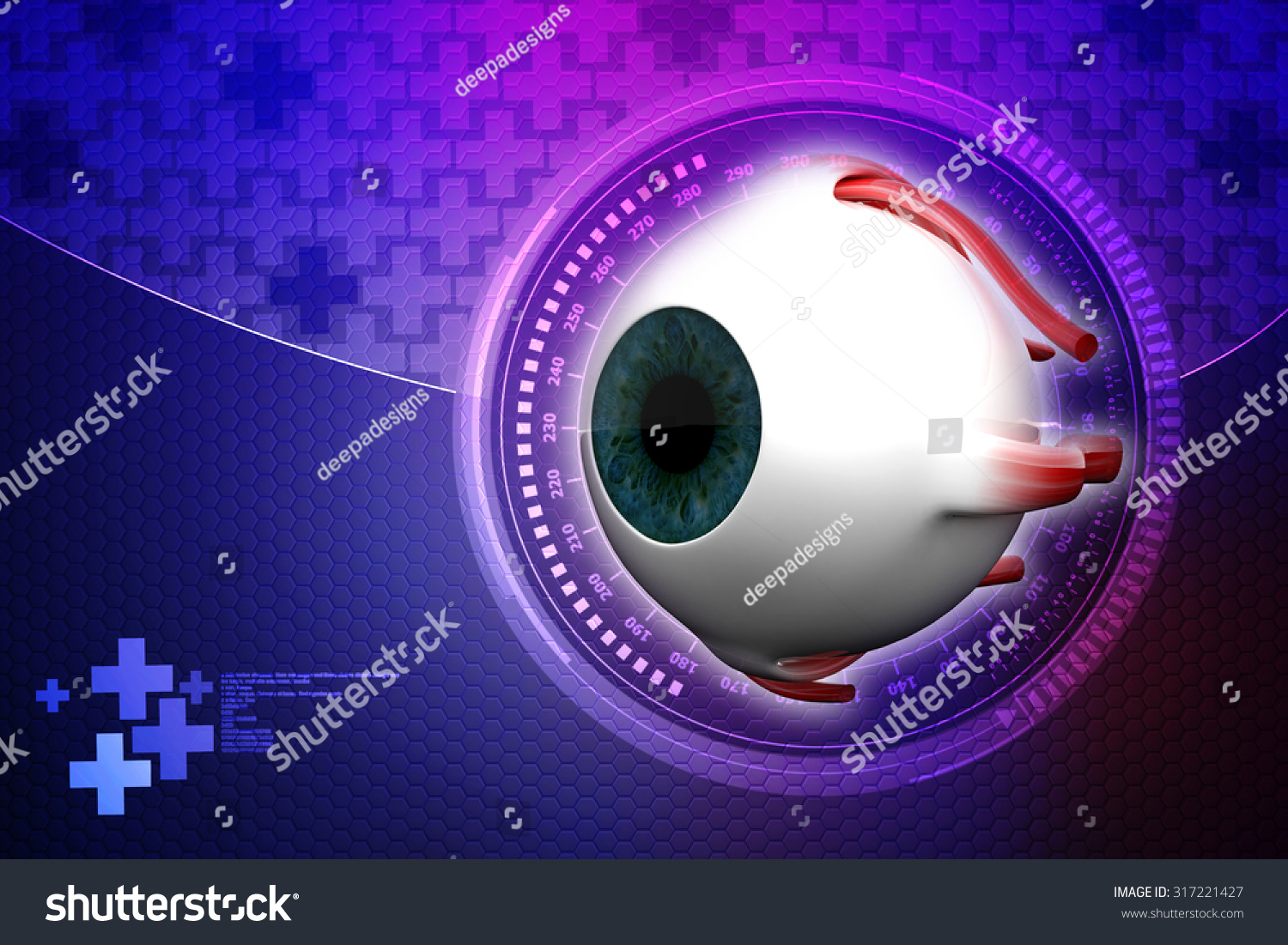 Human Eye Dissection Anatomy Stock Illustration 317221427 | Shutterstock