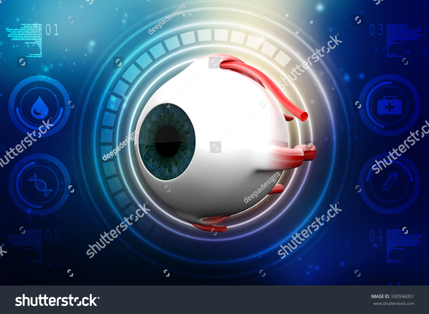 Human Eye Dissection Anatomy Stock Illustration 330596051 | Shutterstock