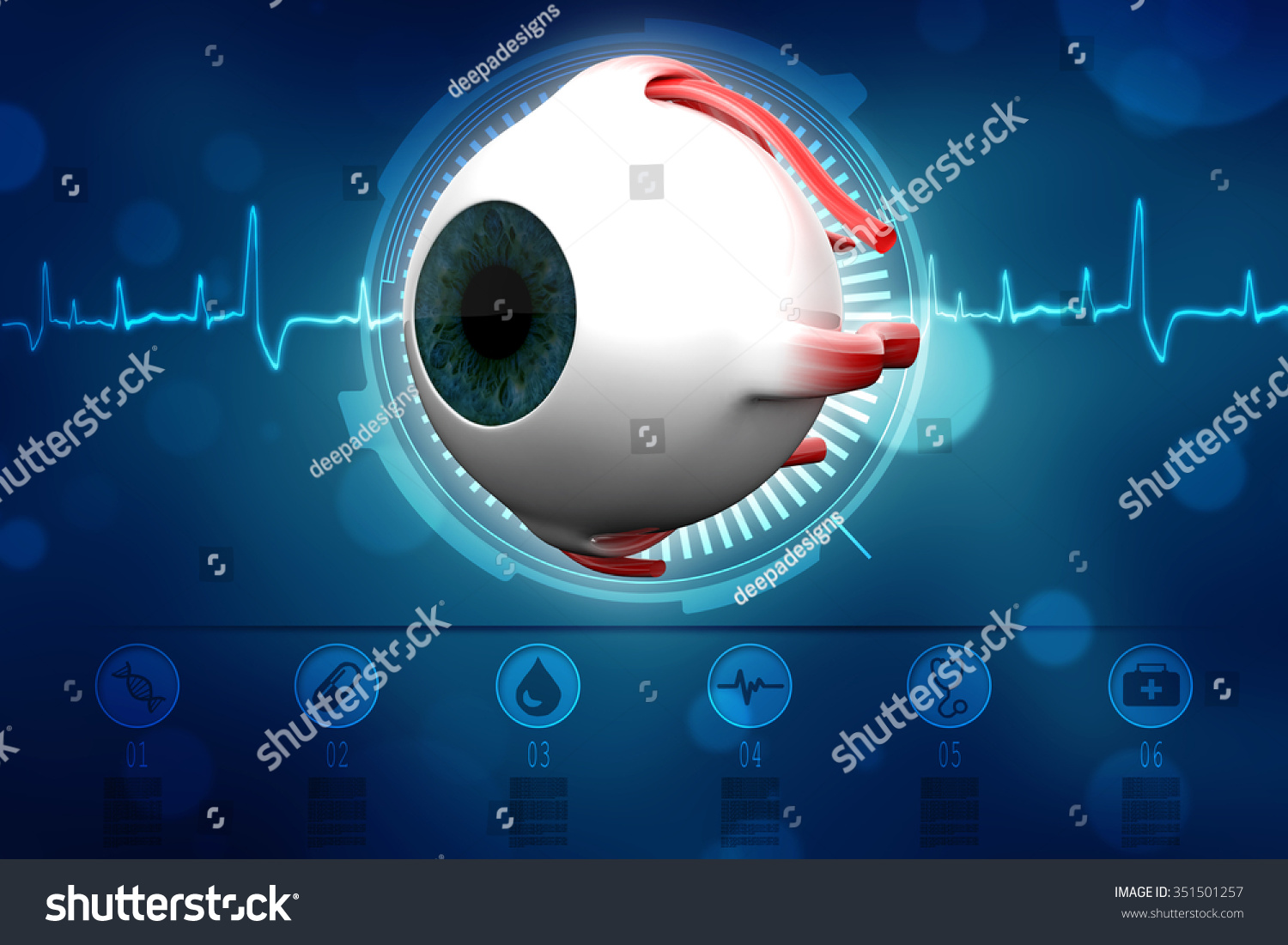 Human Eye Dissection Anatomy Stock Illustration 351501257