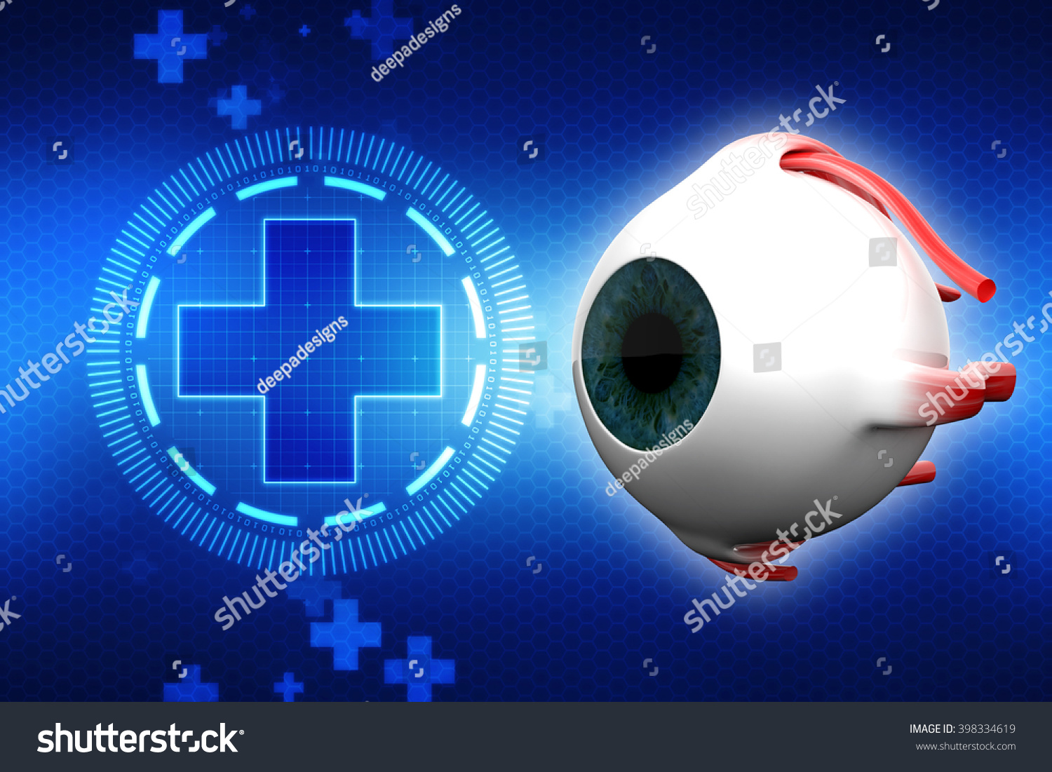 Human Eye Dissection Anatomy Stock Illustration 398334619 | Shutterstock