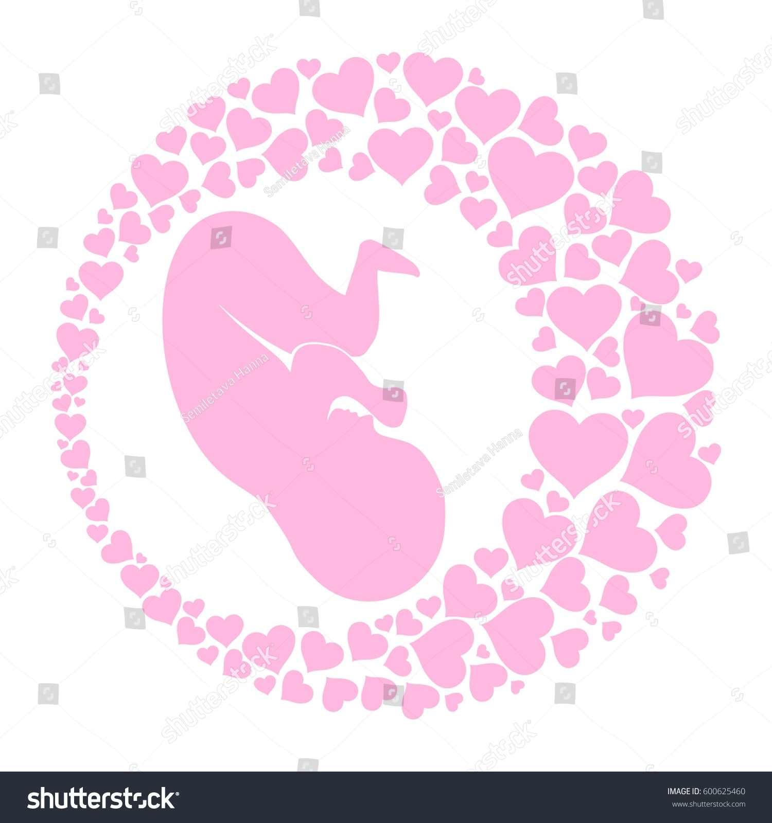 Human Fetus Inside Womb Illustration Stock Illustration 600625460