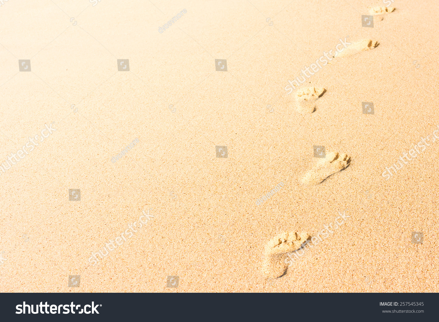 Human Footprint On Beach Sand Horizontal Stock Photo Shutterstock