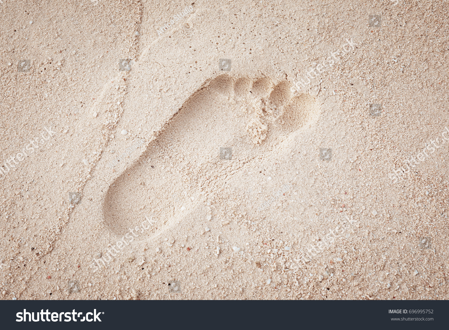 Human Footprint On Beach Sand Summer Stock Photo Shutterstock