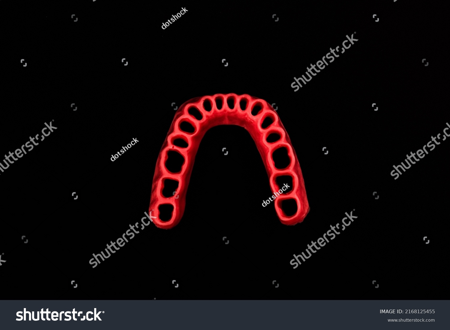 Human Gums Without Teeth Model Medical Stock Photo 2168125455 ...