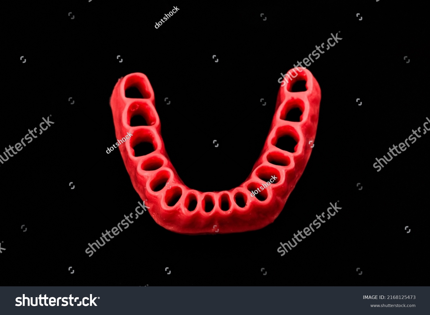 Human Gums Without Teeth Model Medical Stock Photo 2168125473 ...