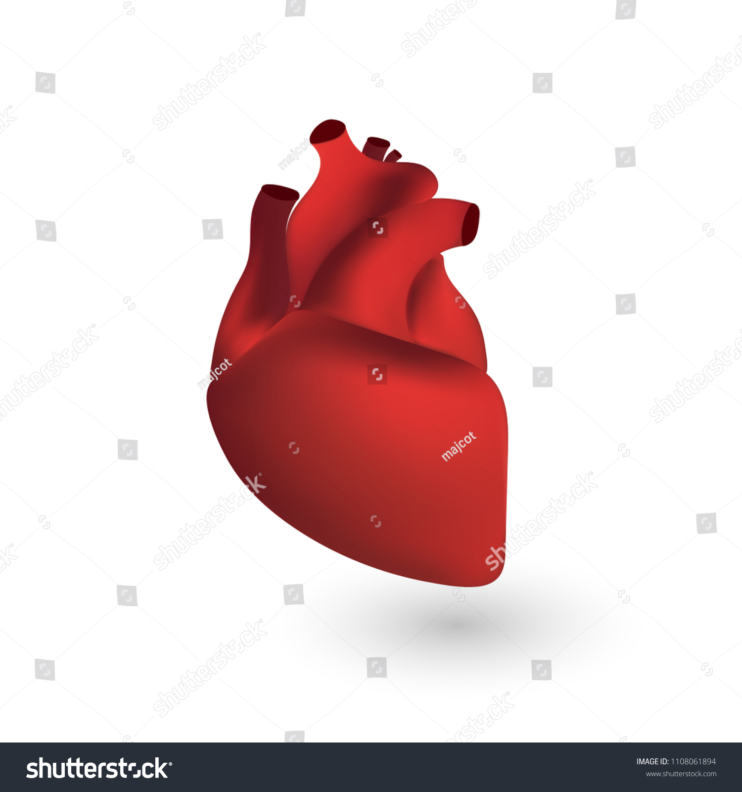 Human Heart Anatomy 3d Illustration Isolated Stock Illustration 1108061894 Shutterstock 0541