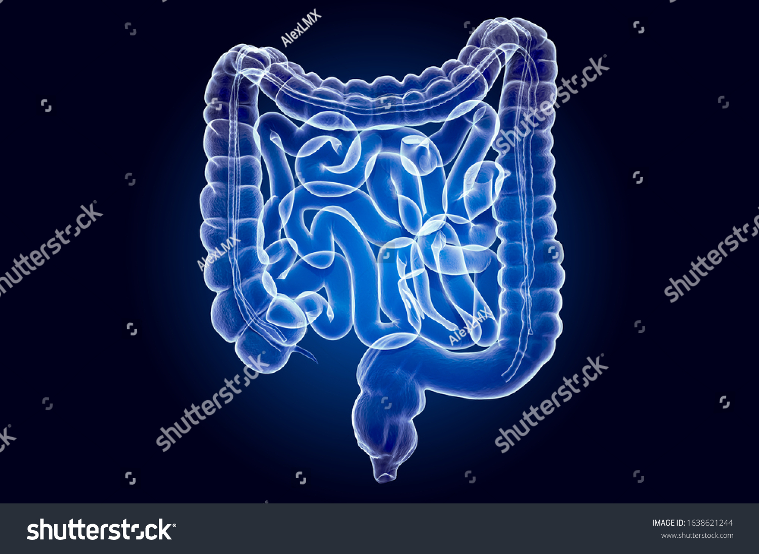 Human Intestines Xray Hologram D Rendering Stock Illustration Shutterstock